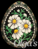 Ukrainian Easter eggs. Quail Pysanky Art. Chamomile Daisy Flowers.