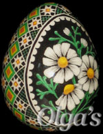 Ukrainian Easter Egg Art. Quail pysanky. Chamomile Daisy Flowers.